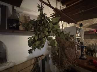 Wycieczka fakultatywna, Wycieczka Wezmę Cię na najlepsze meze w Pafos