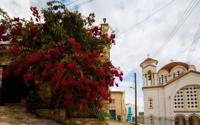 Wycieczka jednodniowa, Wycieczka: Ja, tato i mama z Pafos do farmy osiołków