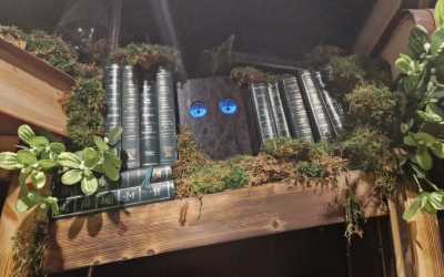 Obóz młodzieżowy, Jastrzębia Góra - Ekspresem do Hogwartu LEVEL 2 OW Diuna, 10 dni 9-14 lat