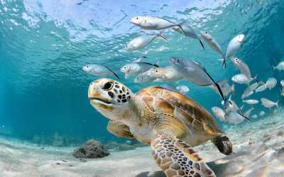 !tr_error=pl->wycieczka_objazdowa!, Oman Klasyka